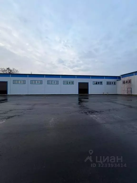 Склад в Московская область, Щелково городской округ, Производственная ... - Фото 1