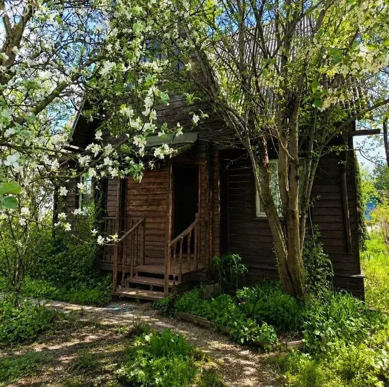Дом в деревня Калиновка, ДНП Факел-2, 262 (82.1 м) - Фото 2