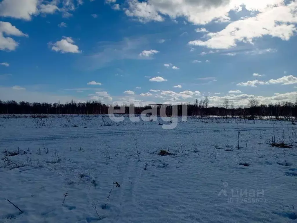 Участок в Костромская область, Нерехта ул. Тургенева (794.0 сот.) - Фото 0