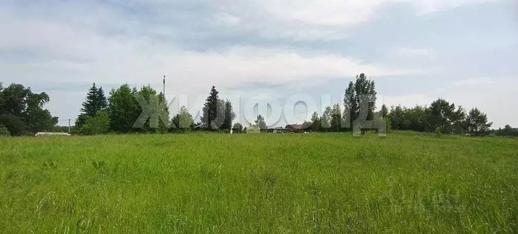 Участок, 12 сот., поселения (ижс) - Фото 0