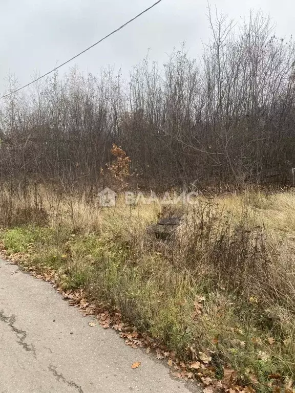 Участок в Белгородская область, Белгородский район, Тавровское с/пос, ... - Фото 1
