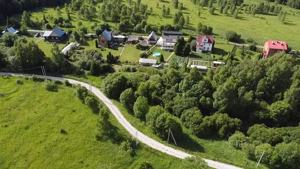 Участок в Московская область, Серпухов городской округ, д. Терехунь  ... - Фото 1