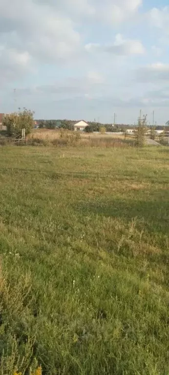 Участок в Самарская область, Ставропольский район, Узюково с/пос, с. ... - Фото 2