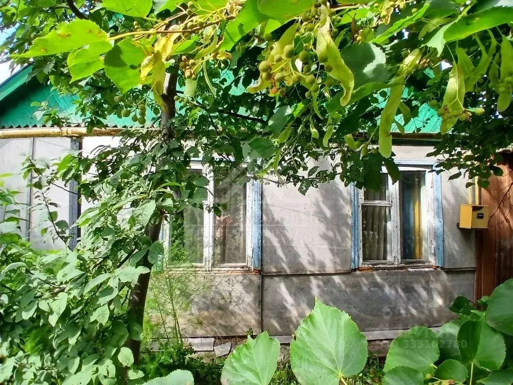Дом в Татарстан, Арск ул. Мусы Джалиля, 19 (52 м) - Фото 1