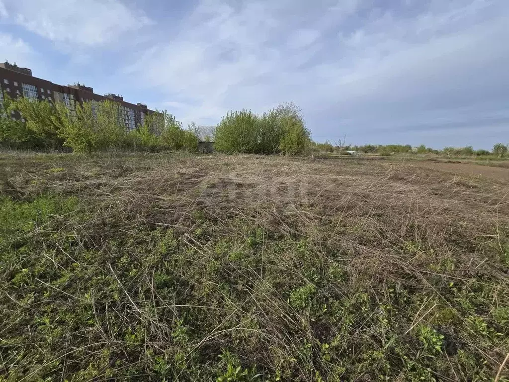 Участок в Брянская область, Брянский район, Снежское с/пос, пос. ... - Фото 2