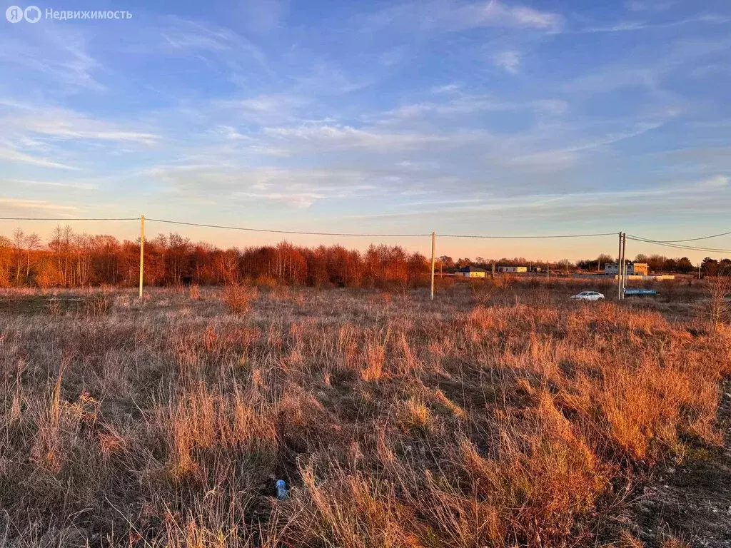 Участок в Янтарный городской округ, посёлок Синявино (10.71 м) - Фото 0