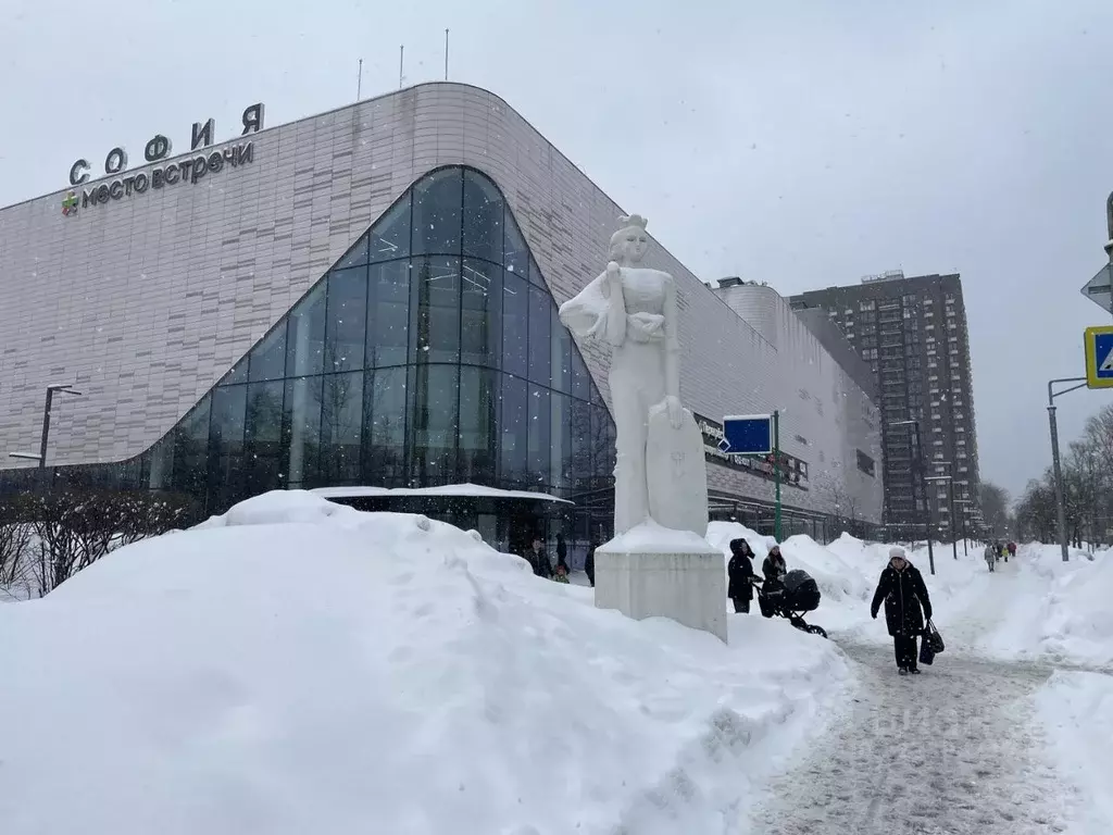 Помещение свободного назначения в Москва Сиреневый бул., 33 (78 м) - Фото 1