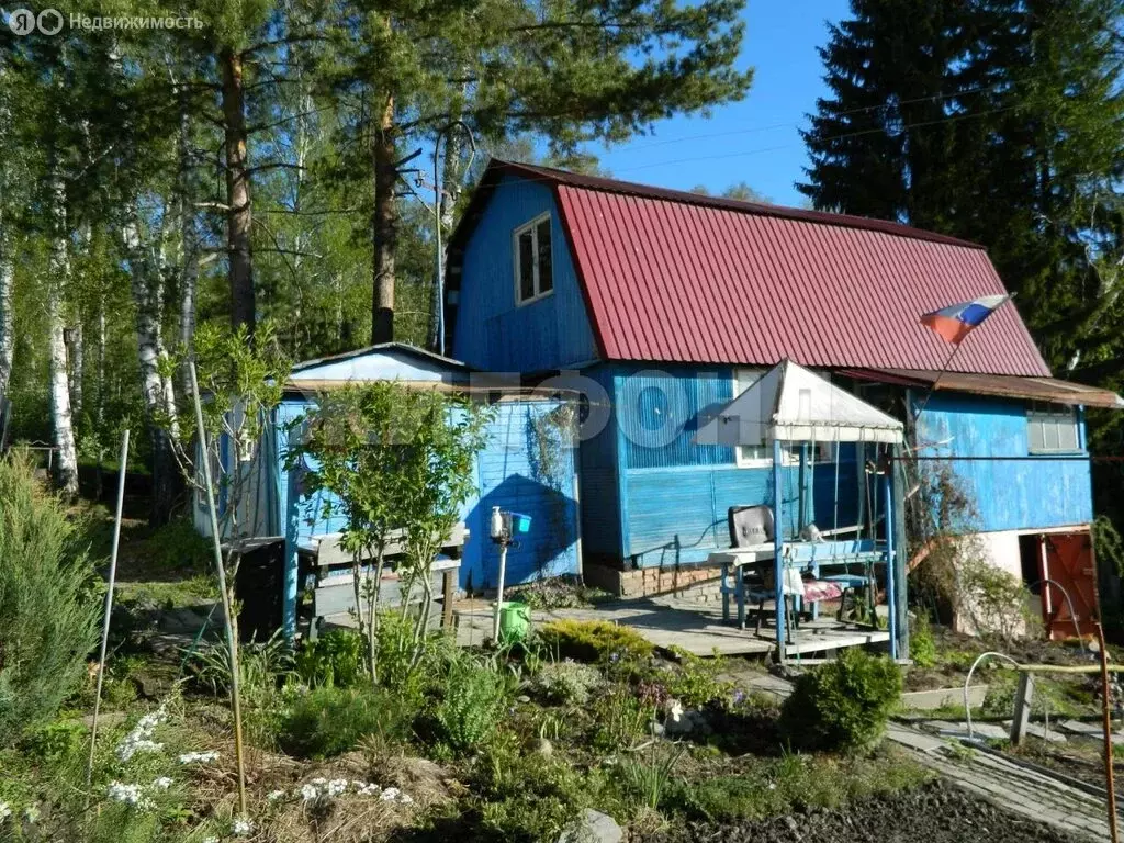 Дом в Раздольненский сельсовет, садовое товарищество Ромашка (60 м) - Фото 1