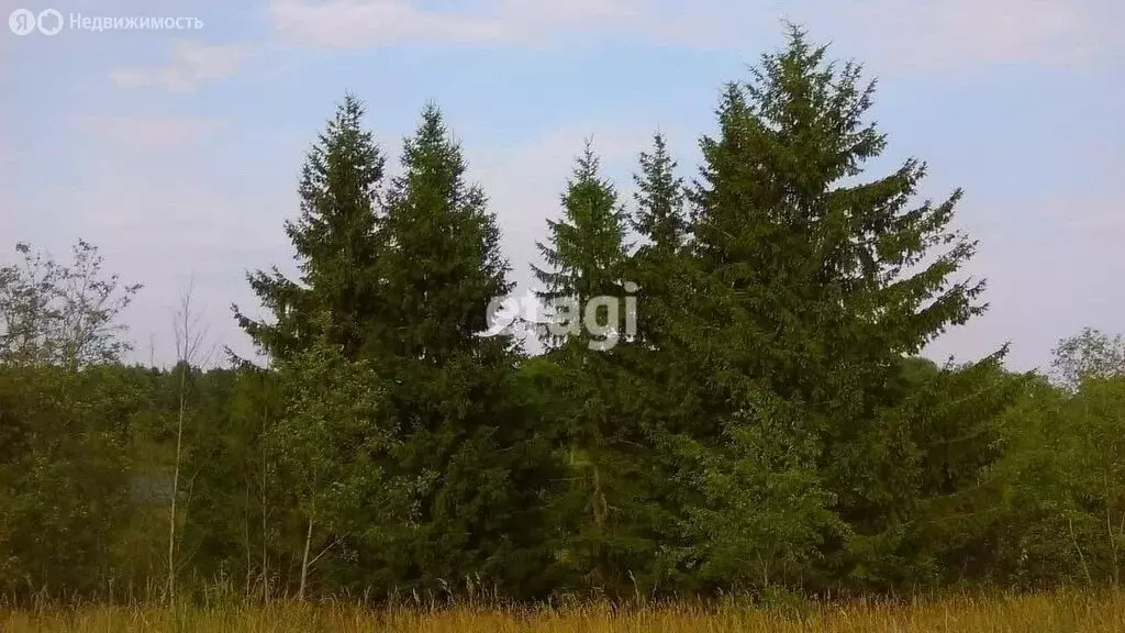 участок в лужский район, посёлок серебрянский (128.7 м) - Фото 0