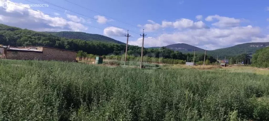 Участок в Севастополь, КСП Красный Октябрь (9.66 м) - Фото 2