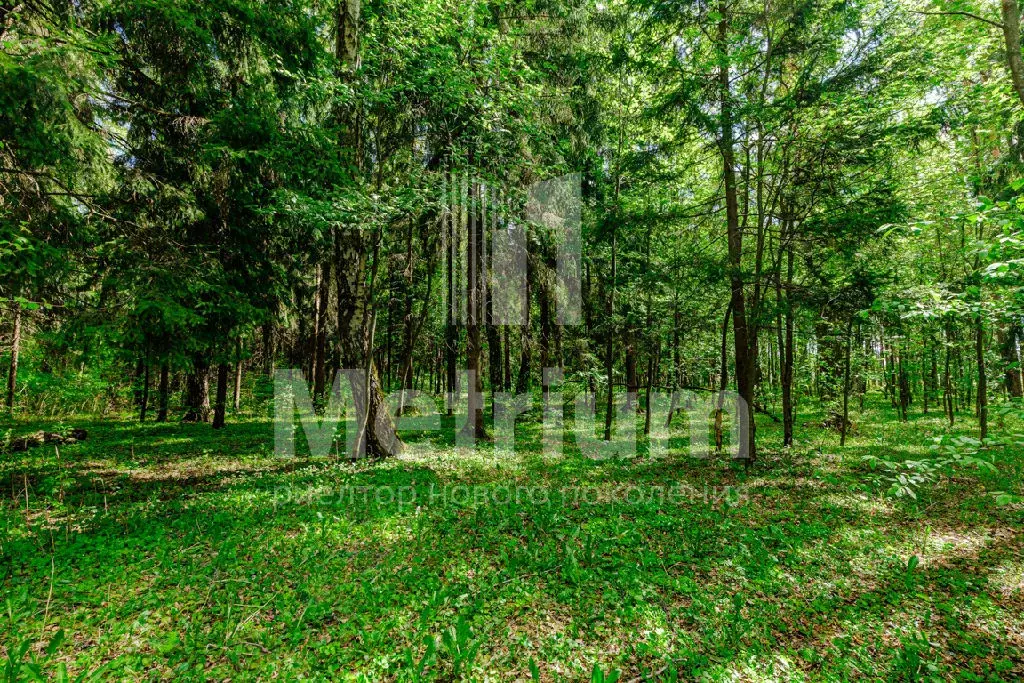 Продается участок в КП Монтевиль - Фото 2