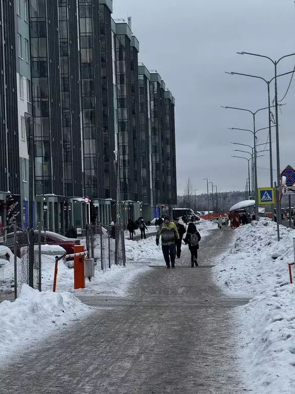 Помещение свободного назначения в Ленинградская область, Всеволожский ... - Фото 1