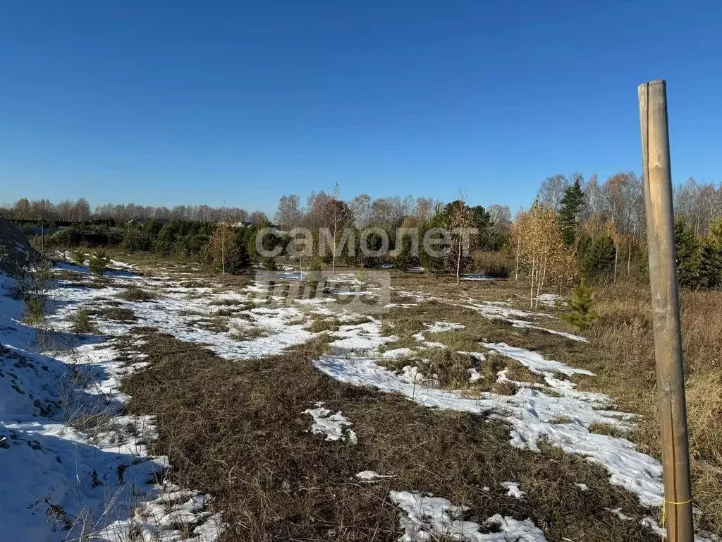 Участок в Тюменская область, Тюменский муниципальный округ, ... - Фото 1