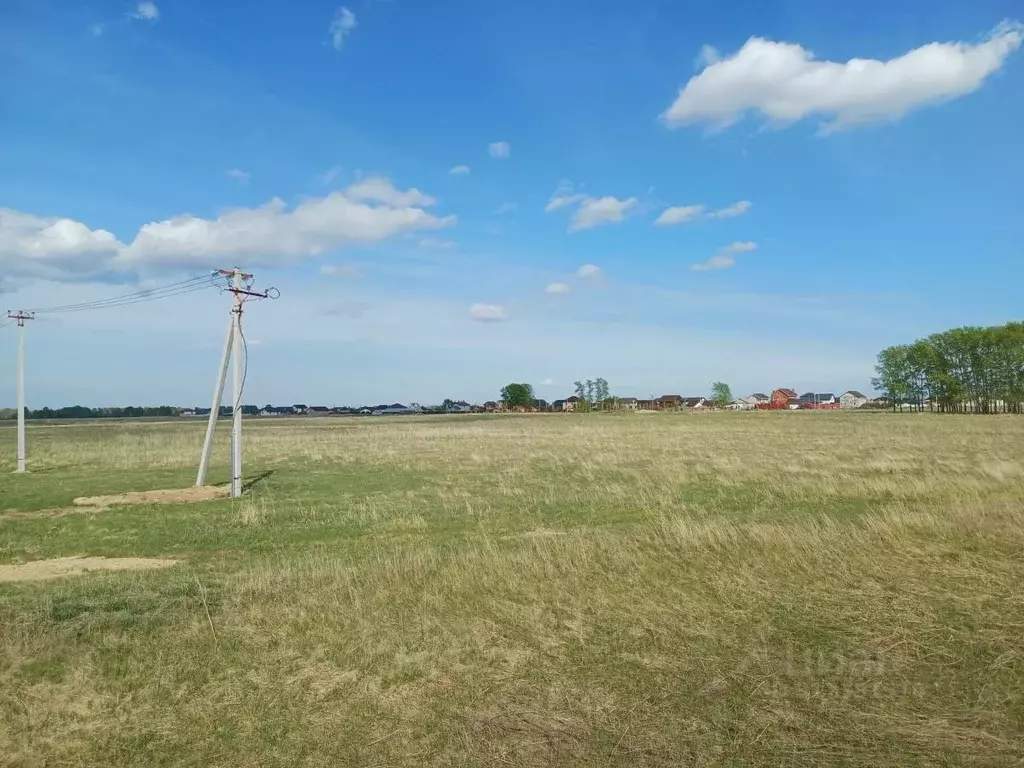 Участок в Новосибирская область, Новосибирский район, Толмачевский ... - Фото 0