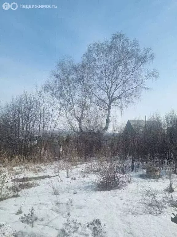 Участок в Искитим, садовое товарищество Садовод (8 м) - Фото 0