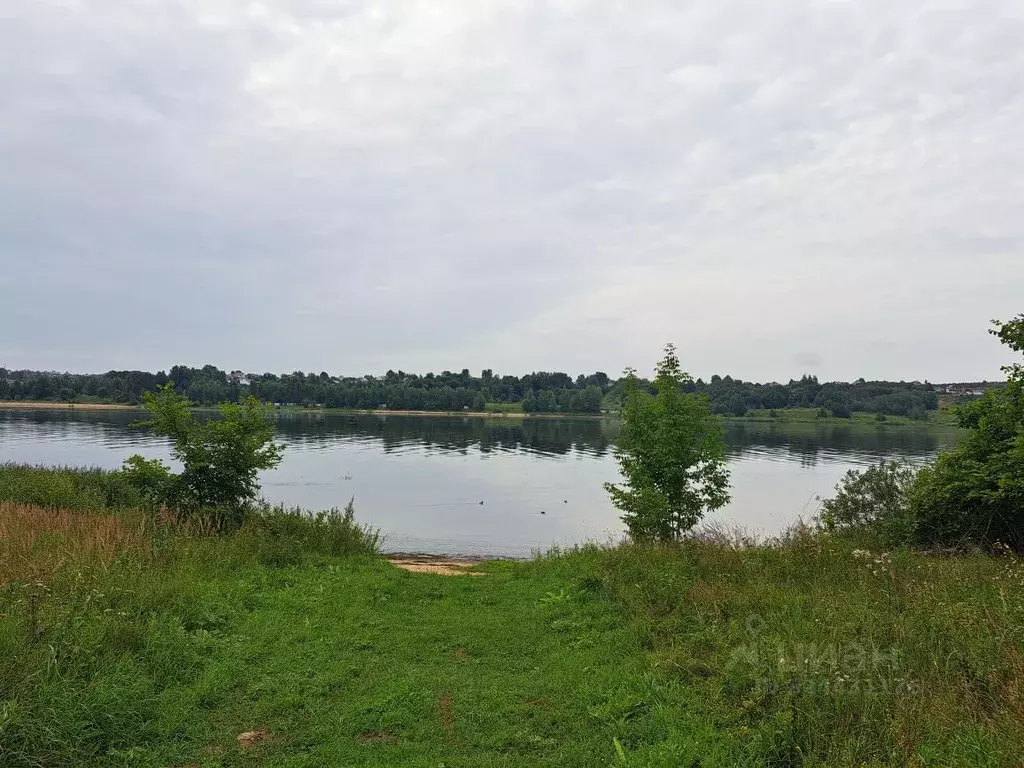 Участок в Ярославская область, Тутаевский муниципальный округ, д. ... - Фото 2