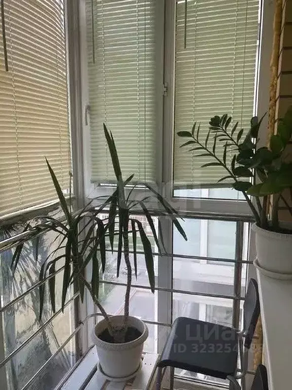 Студия Тюменская область, Тюмень Микрорайон мыс, ул. Судоремонтная, ... - Фото 2