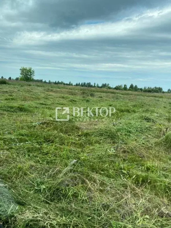 Участок в Костромская область, Кострома ул. Счастливая (11.77 сот.) - Фото 2