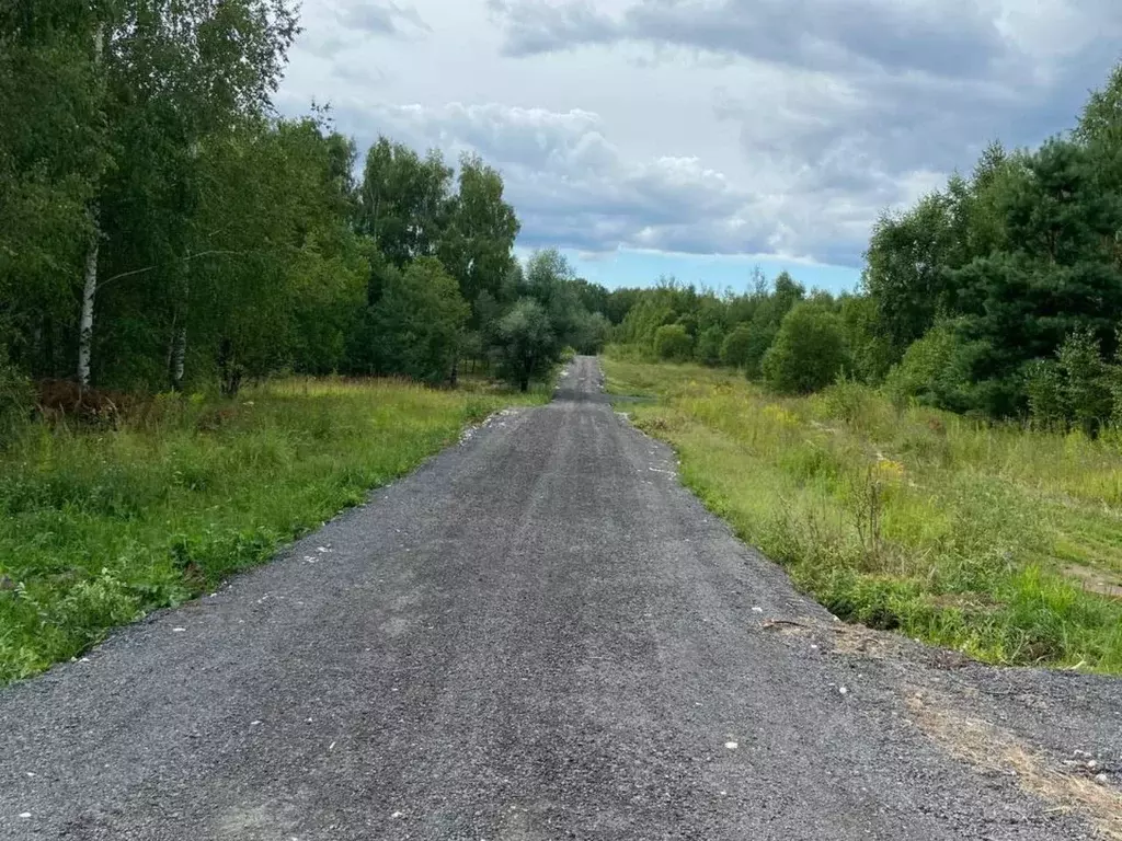 Участок в Нижегородская область, Богородский муниципальный округ, д. ... - Фото 0