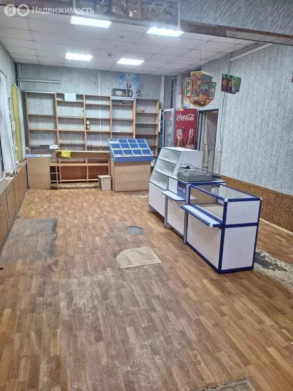 Торговая площадь (55 м) - Фото 2