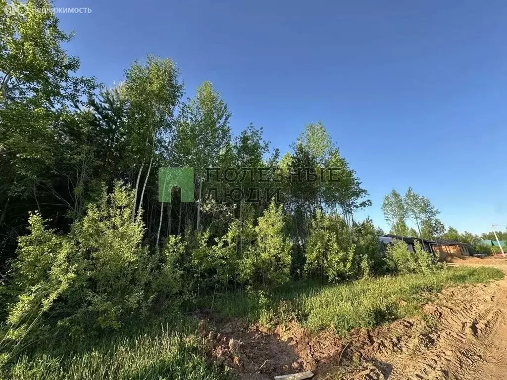 Участок в деревня Пирогово, ДНТ Солнечный Город, Дачная улица, 21 (11 ... - Фото 1
