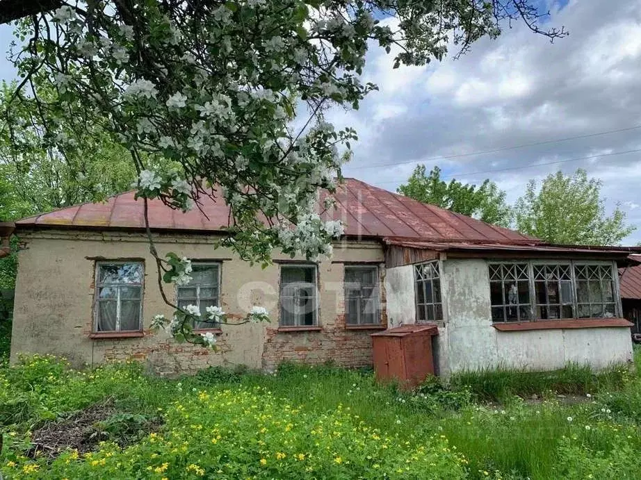 Дом в Воронежская область, Новоусманский район, Орловское с/пос, с. ... - Фото 0