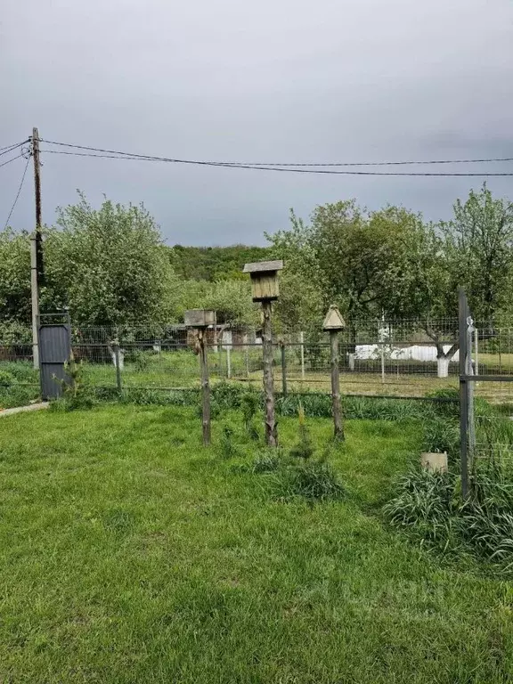 Дом в Курская область, Курск Красная Звезда СНТ, 282 (42 м) - Фото 1