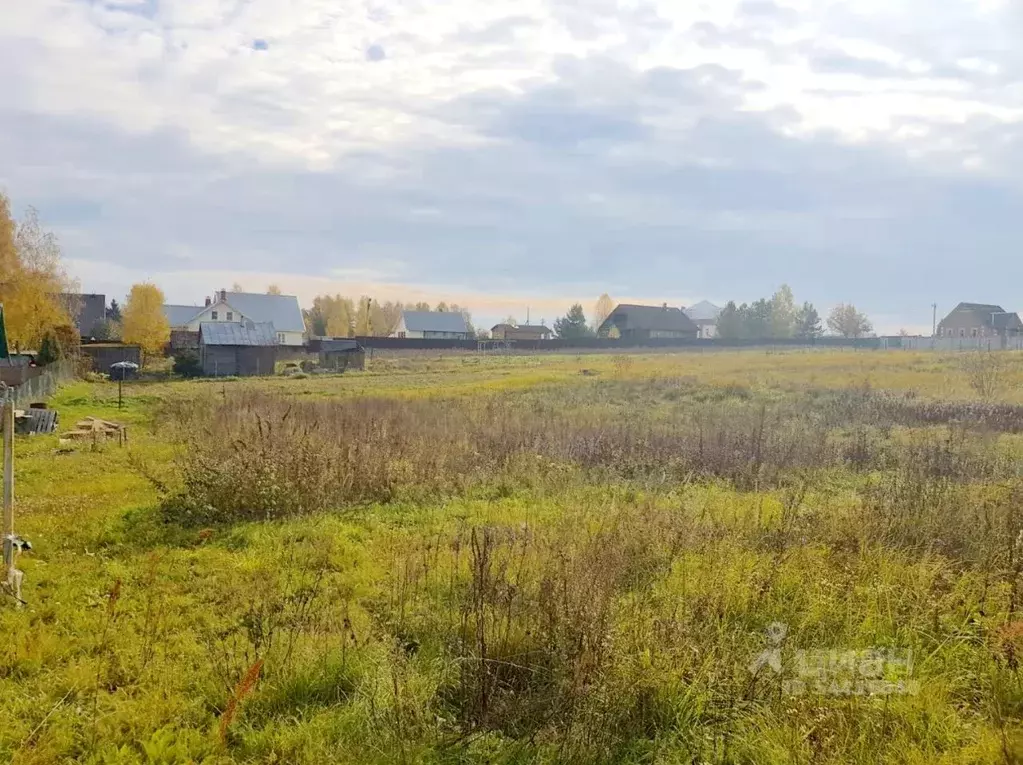 Участок в Владимирская область, Киржачский район, с. Филипповское  ... - Фото 0