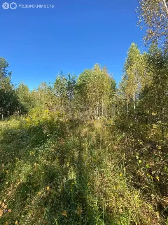 Участок в Выгоничский район, Хмелевское сельское поселение, деревня ... - Фото 1