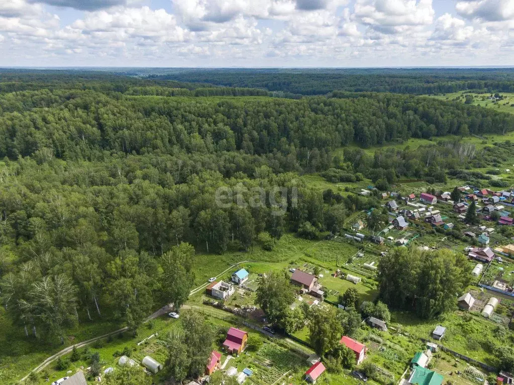 участок в новосибирская область, мошковский район, ремонтник снт . - Фото 1