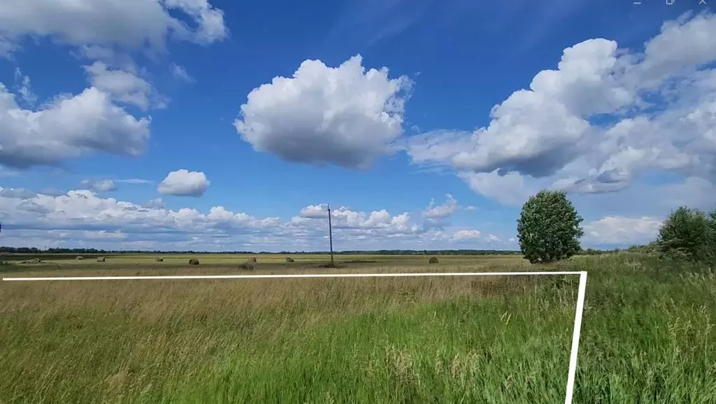 Участок в Ленинградская область, Тосненский район, Любанское городское ... - Фото 0