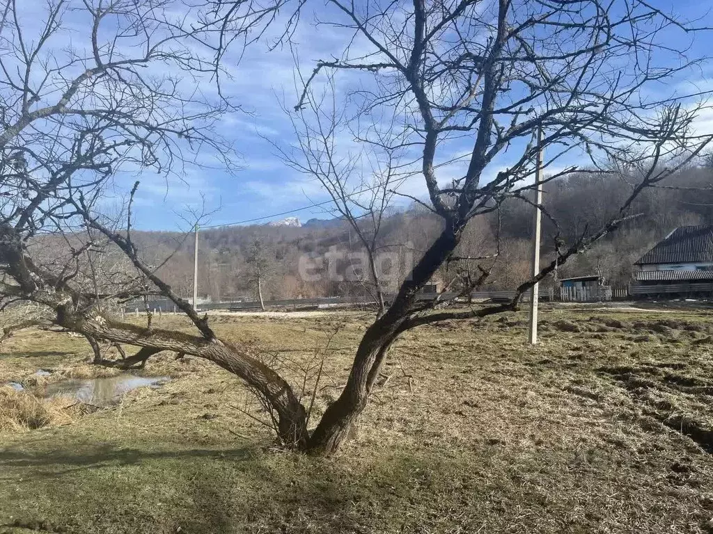 Участок в Адыгея, Майкопский район, Даховское с/пос, с. Новопрохладное ... - Фото 1