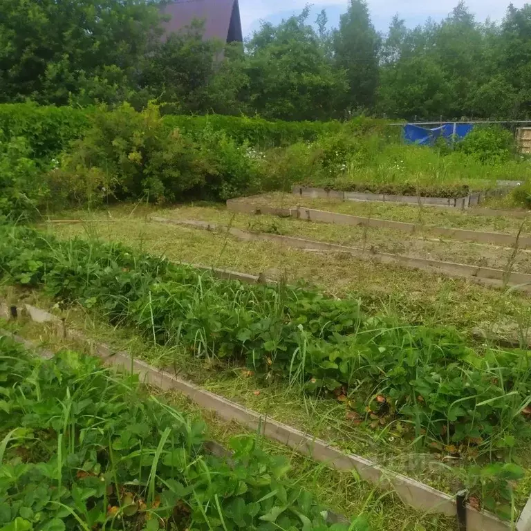 Дом в Ивановская область, Ивановский муниципальный округ, ... - Фото 2