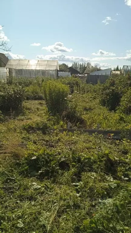 Участок в Тверская область, Калининский муниципальный округ, Светлый ... - Фото 2