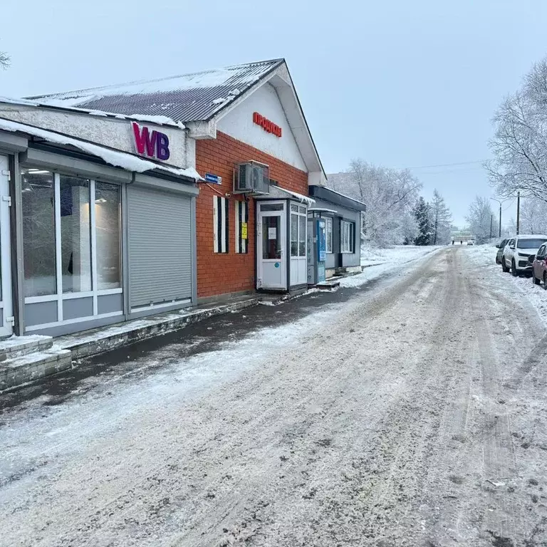 Торговая площадь в Московская область, Домодедово городской округ, с. ... - Фото 0