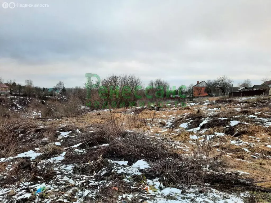 Участок в Брянский район, Супоневское сельское поселение, село ... - Фото 0