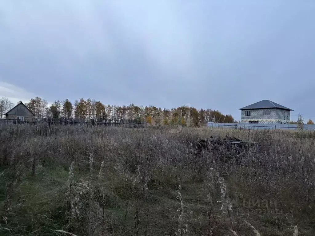 Участок в Курганская область, Кетовский муниципальный округ, с. ... - Фото 1