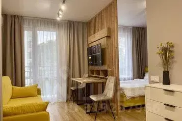 1-к кв. Краснодарский край, Сочи ул. Искры, 88к2 (30.0 м) - Фото 0