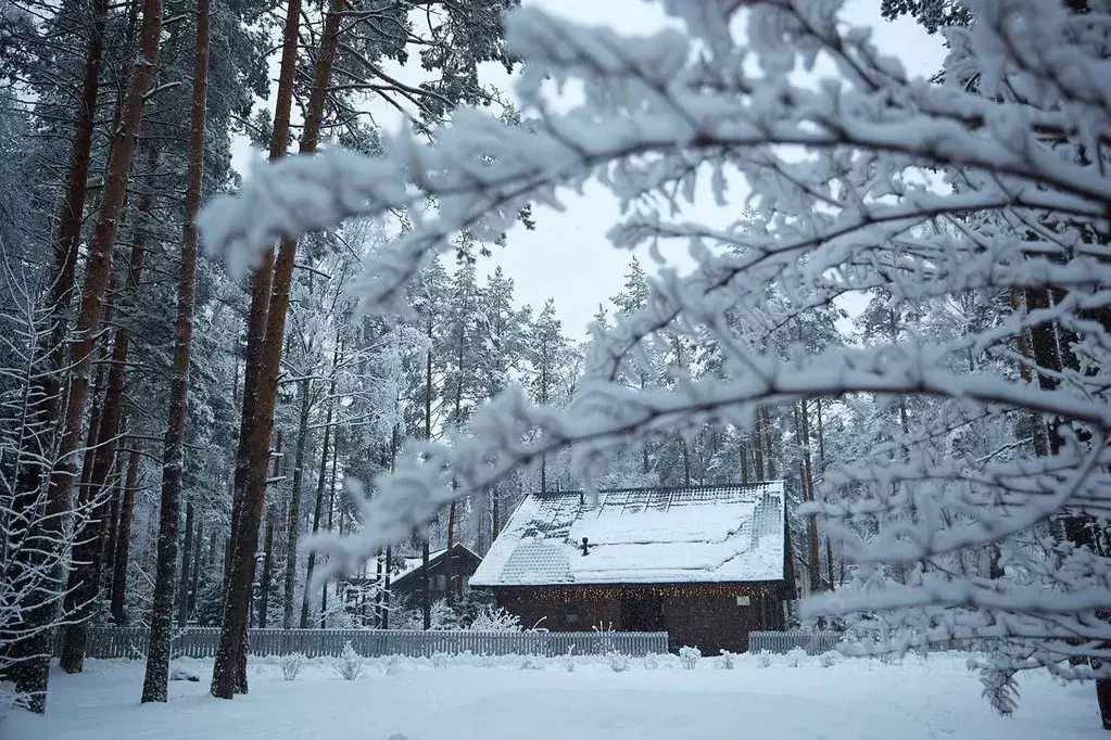 Дом в Ленинградская область, Выборгский район, Рощино пгт ул. ... - Фото 0