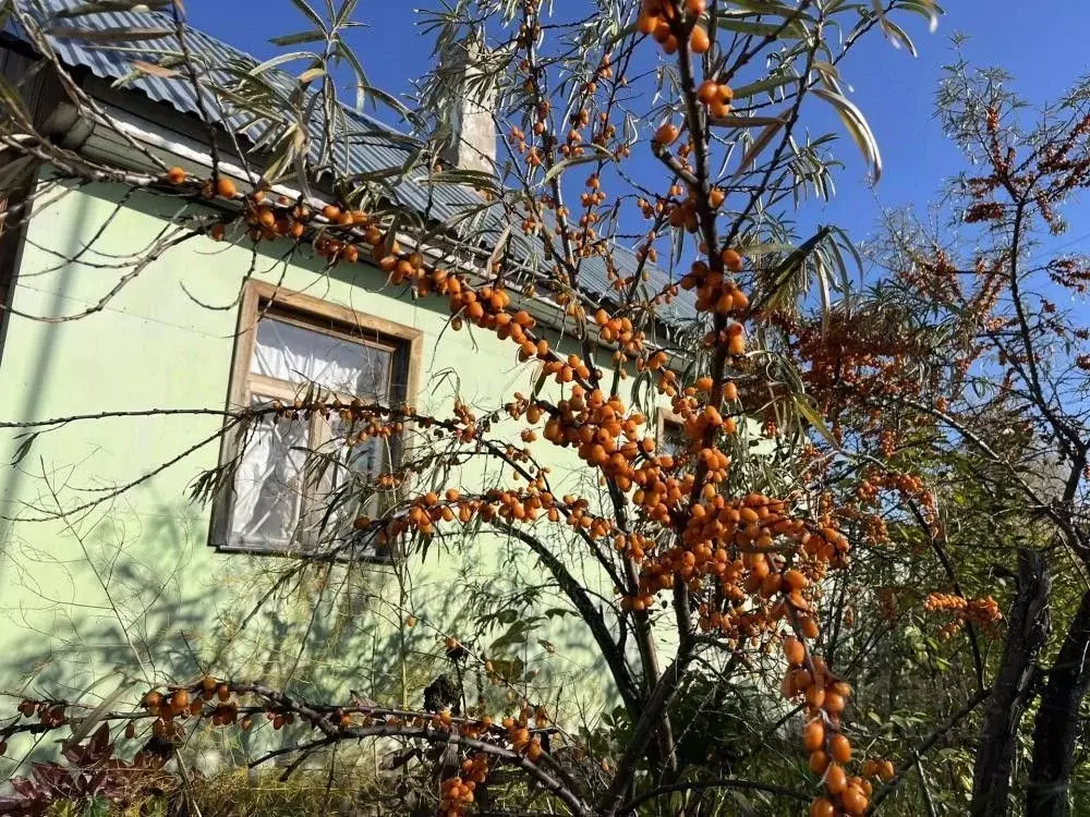 Дом в Кемеровская область, Кемеровский муниципальный округ, пос. ... - Фото 1