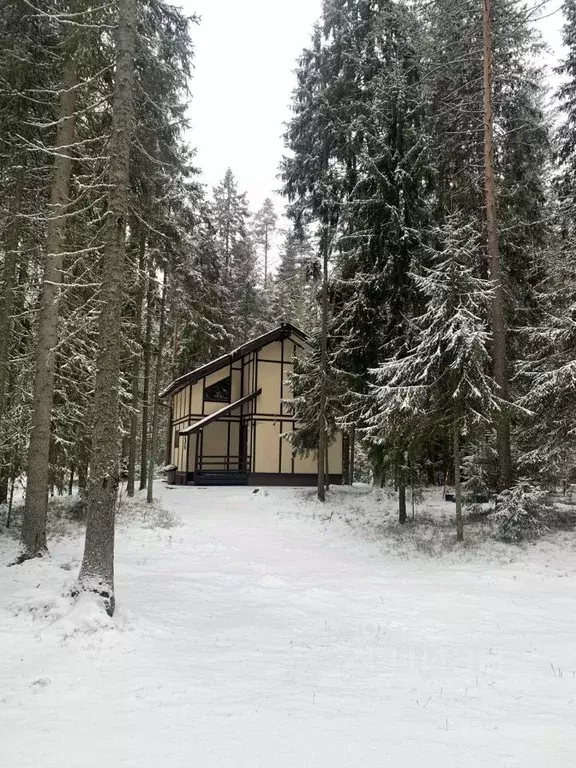 Дом в Ленинградская область, Выборгский район, Первомайское с/пос, ... - Фото 0