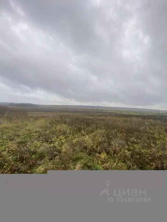 Участок в Ленинградская область, Ломоносовский район, Пениковское ... - Фото 0