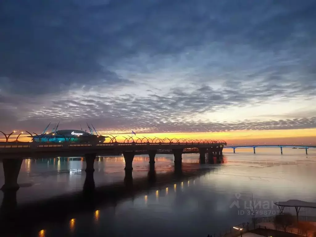 1-к кв. Санкт-Петербург Приморский просп., 62к1 (55.2 м) - Фото 2