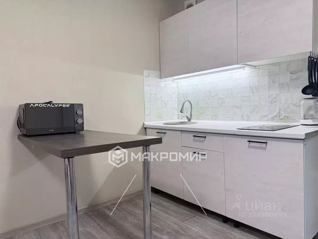 Студия Ленинградская область, Ломоносовский район, Виллозское ... - Фото 2