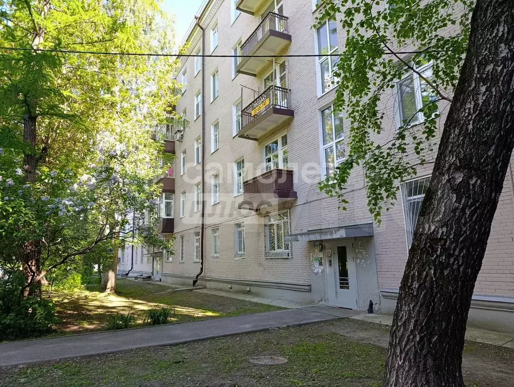 3-к. квартира, 81,3 м, 3/5 эт. - Фото 1