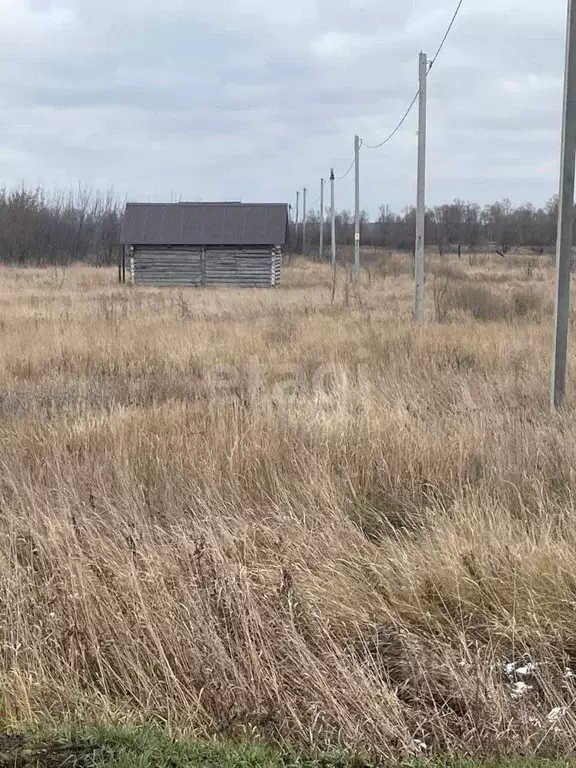 Участок в Татарстан, Лаишевский район, Нармонское с/пос, с. Караишево  ... - Фото 1