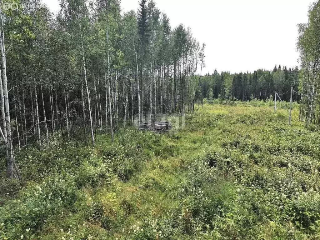 Участок в село Выльгорт, СДТ Здоровье (10 м) - Фото 0