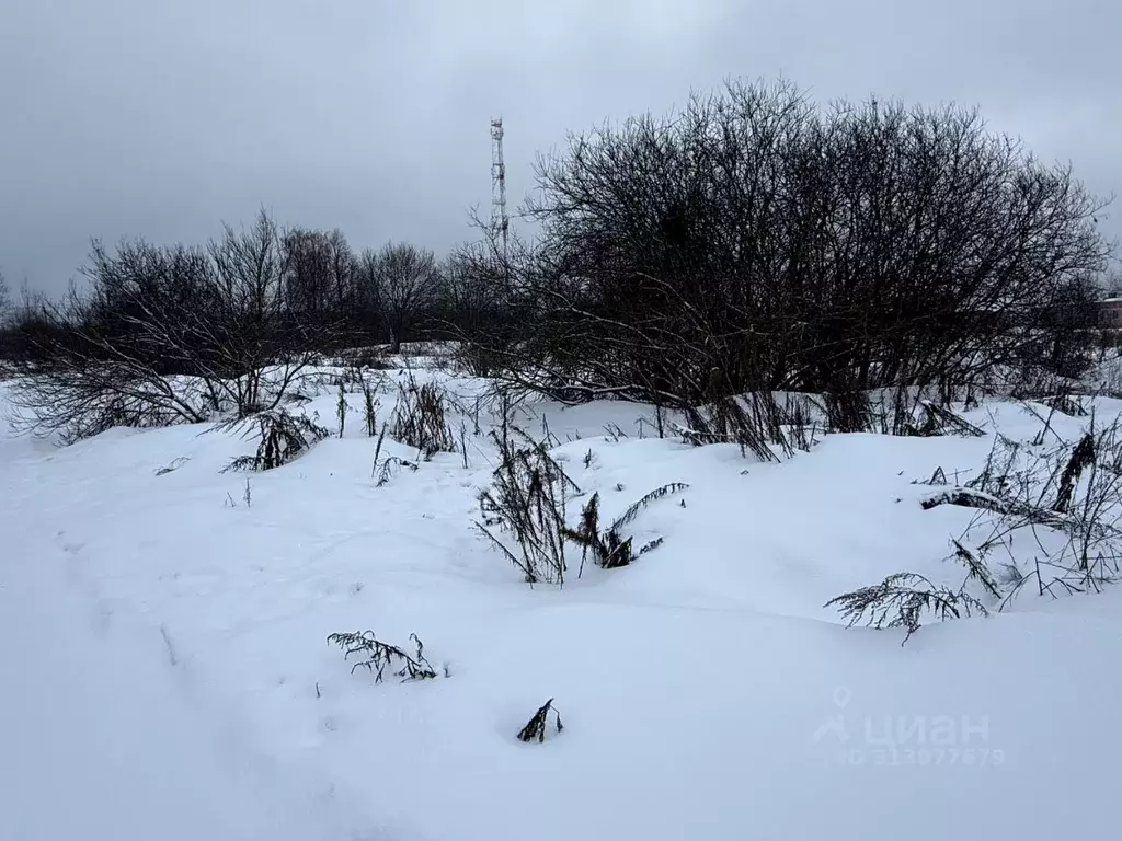 Участок в Московская область, Пушкинский городской округ, Царевское ... - Фото 1