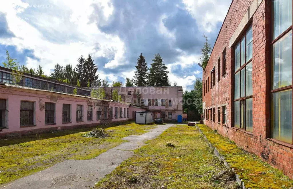 Производственное помещение (15642 м) - Фото 1