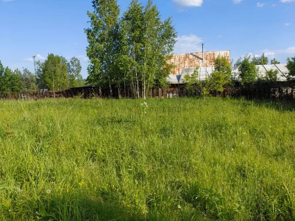 Участок в Новосибирская область, Новосибирский район, Березовский ... - Фото 1